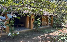 Kamp Kamouflage Kanha
